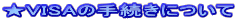 VISA̎葱ɂ